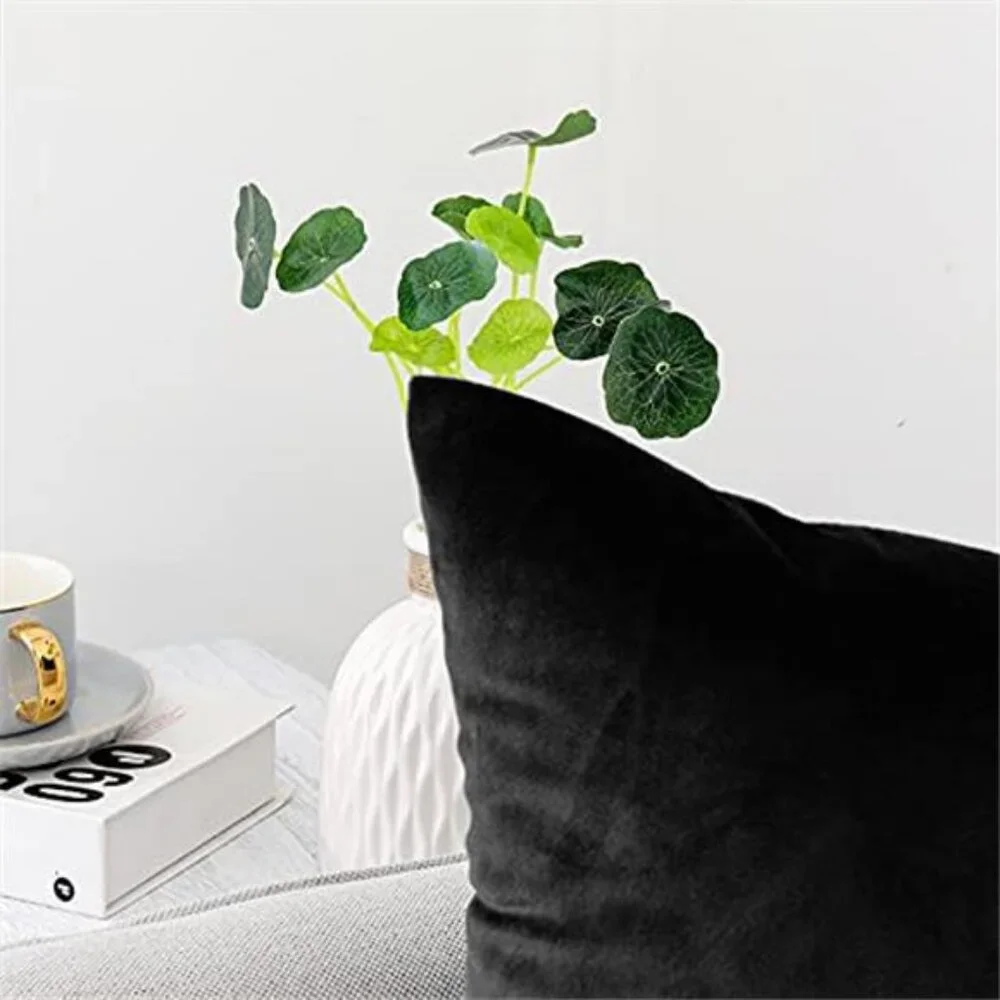 2 Pack Decorative Throw Pillow Covers Velvet Throw Pillow Cases